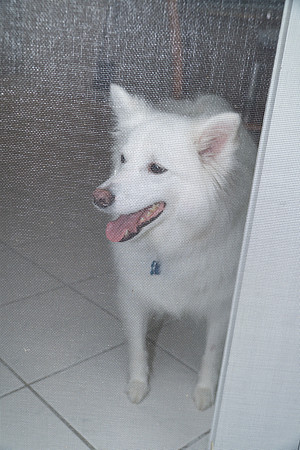 Reunion si-080915-457