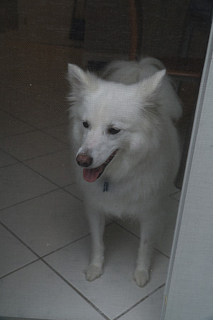 Reunion si-080915-458