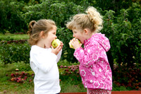 Day at the Orchard David's Photos