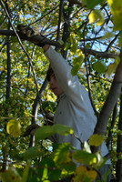 2nd-service-day-on-trail